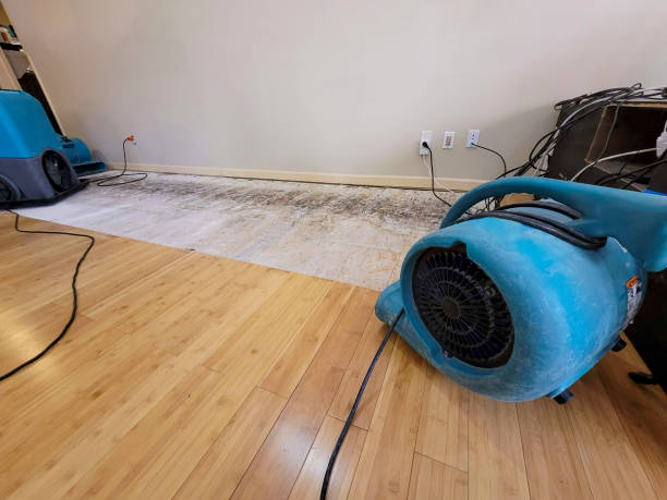 Professional Structural Drying technician working in Wyandotte, OK